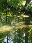 rijperkerk_02-08-2022 (1)