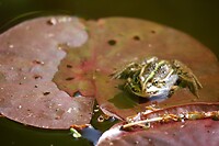 IJhorst_15-05-2023 (1)