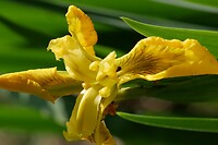 IJhorst_15-05-2023 (2)