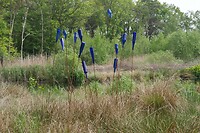 IJhorst_15-05-2023 (9)