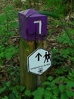 de veentjes-havikshorst_17-05-2023 (27)