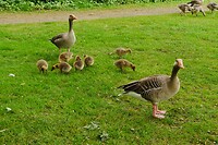 coevorden_24-05-2023 (16)