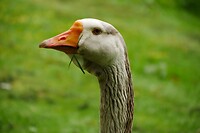 coevorden_24-05-2023 (17)