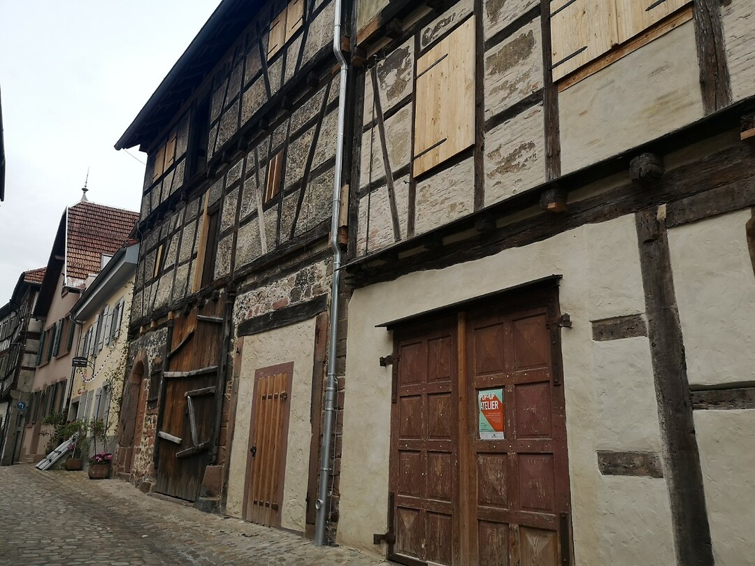 obertsrot_23-06-2023 (5)