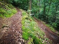 obertsrot_23-06-2023 (11)