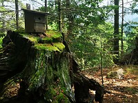 obertsrot_23-06-2023 (16)