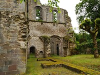 Lich_30-05-2024 (4)
