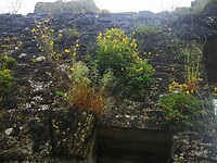 koenich_18-06-2024 (9)