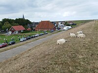 IMG_20250823_200208