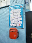 IMG_20250916_084154