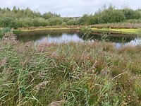 IMG_20250917_121051