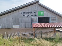 IMG_20250917_111210