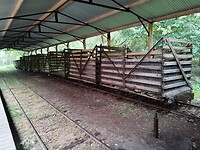 IMG_20250918_115055