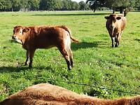 IMG_20250919_110313