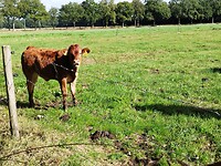 IMG_20250919_110245