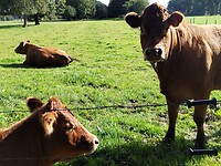 IMG_20250919_110209