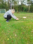 IMG_20241014_172556