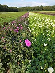 IMG_20250922_170357