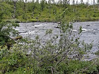 11840
