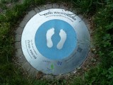 wachtendonk-natuurpad_26-06-2013 (10) (800x600)