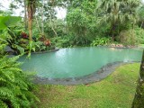 Zwembad Hotel Sarapiqui