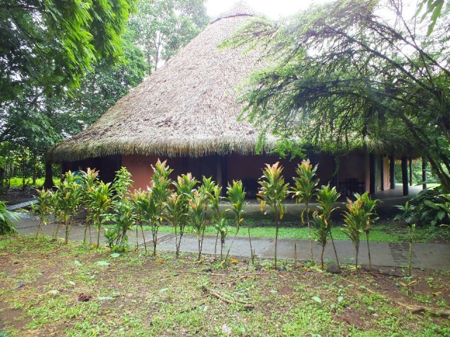 Onze hut