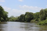 Cano Negro