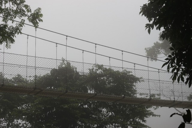 Hangbrug