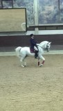 Show