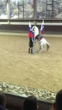 Show