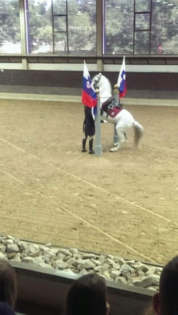 Show