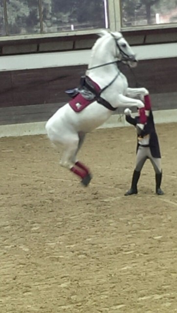 Show