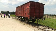 Wagon