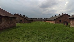 Barakken birkenau