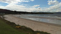 Brown bay