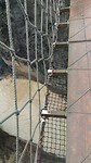 Hoog!