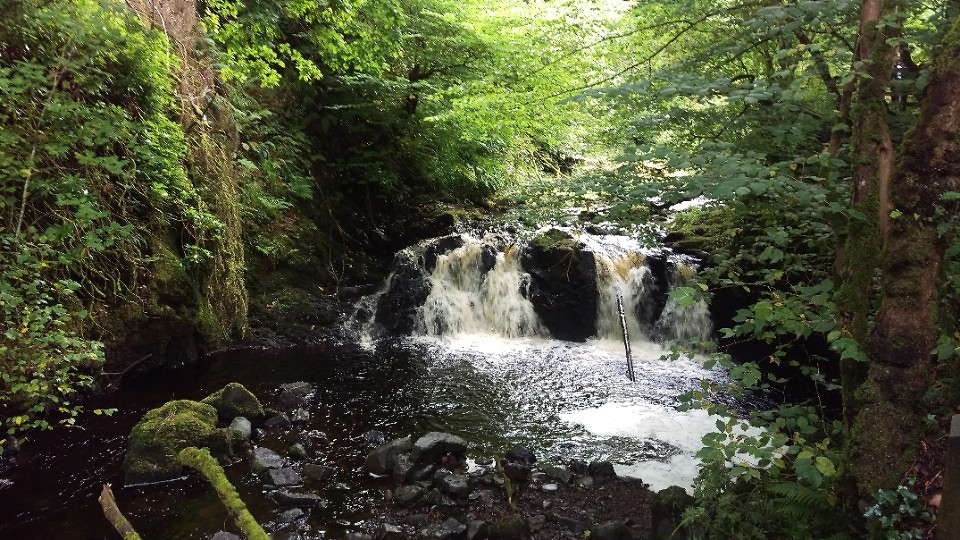 Warerval glenariff park