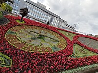 IMG_20220729_181651