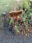 IMG_20220730_134000