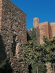 IMG_20221202_153028