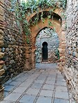 IMG_20221202_152011