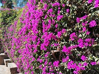 IMG_20221202_122912
