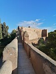 IMG_20221202_111923