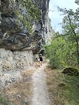 IMG_8456