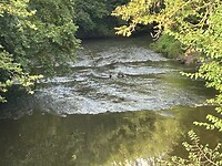 IMG_8412