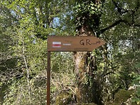 IMG_8493