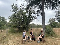 IMG_8530