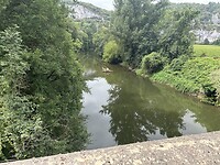 IMG_8531