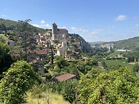IMG_8556