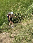 IMG_8650